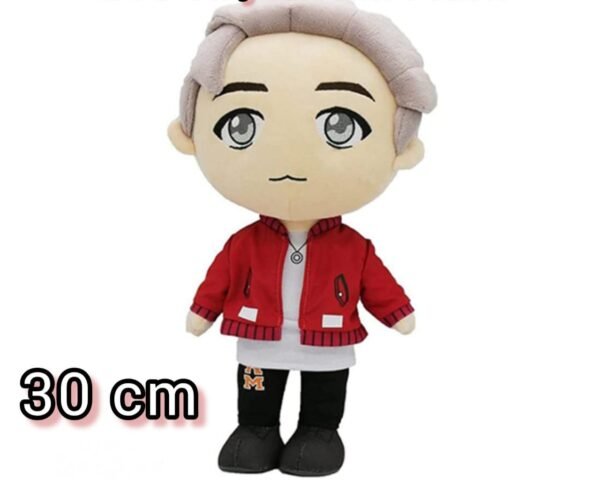 BTS Tinytan RM Peluche - 30 cm